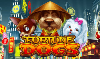 KUBET Fortune Dogs