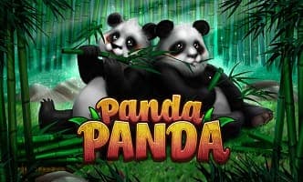 KUBET Panda Panda